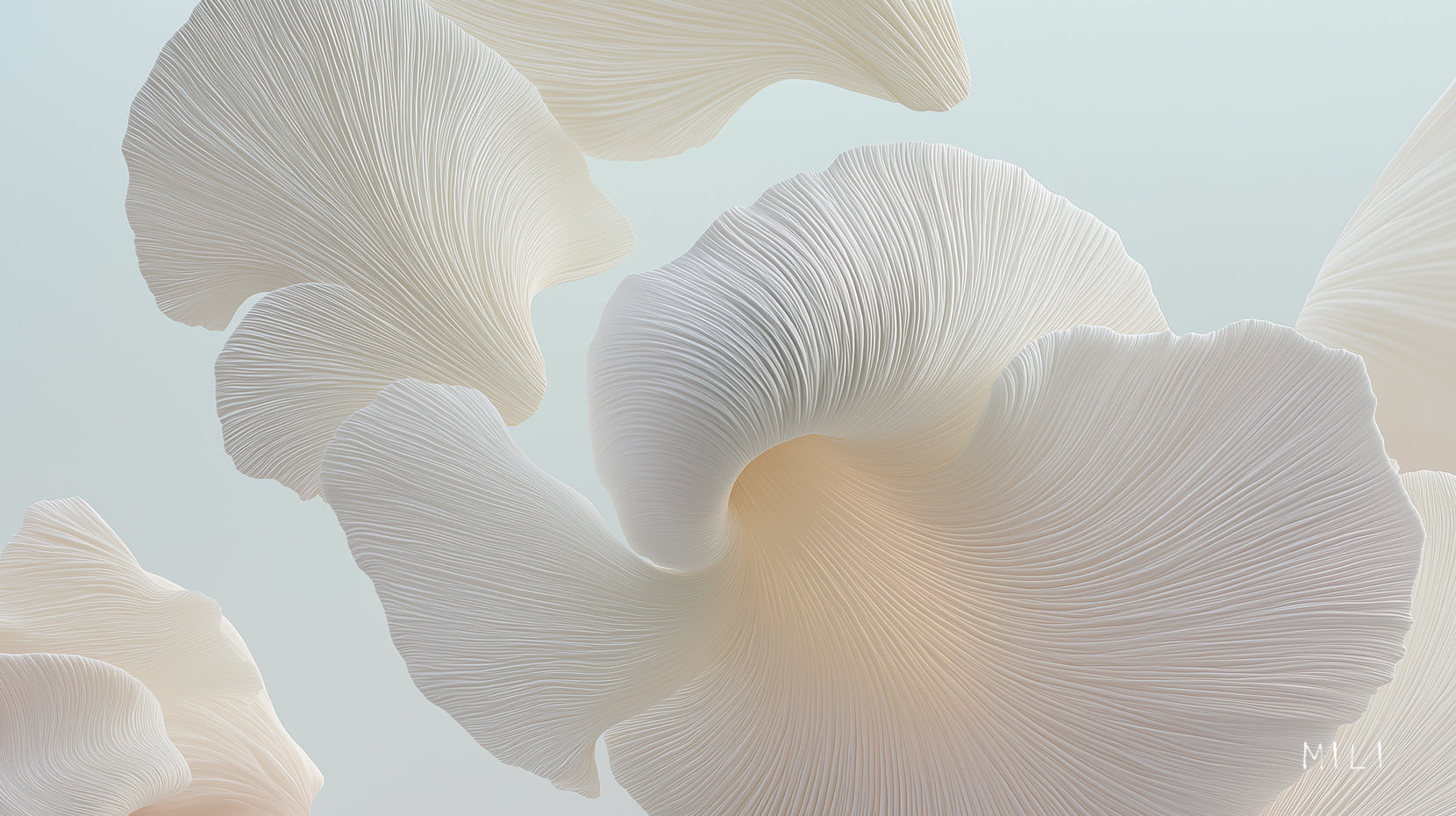 Flowers on the Beach