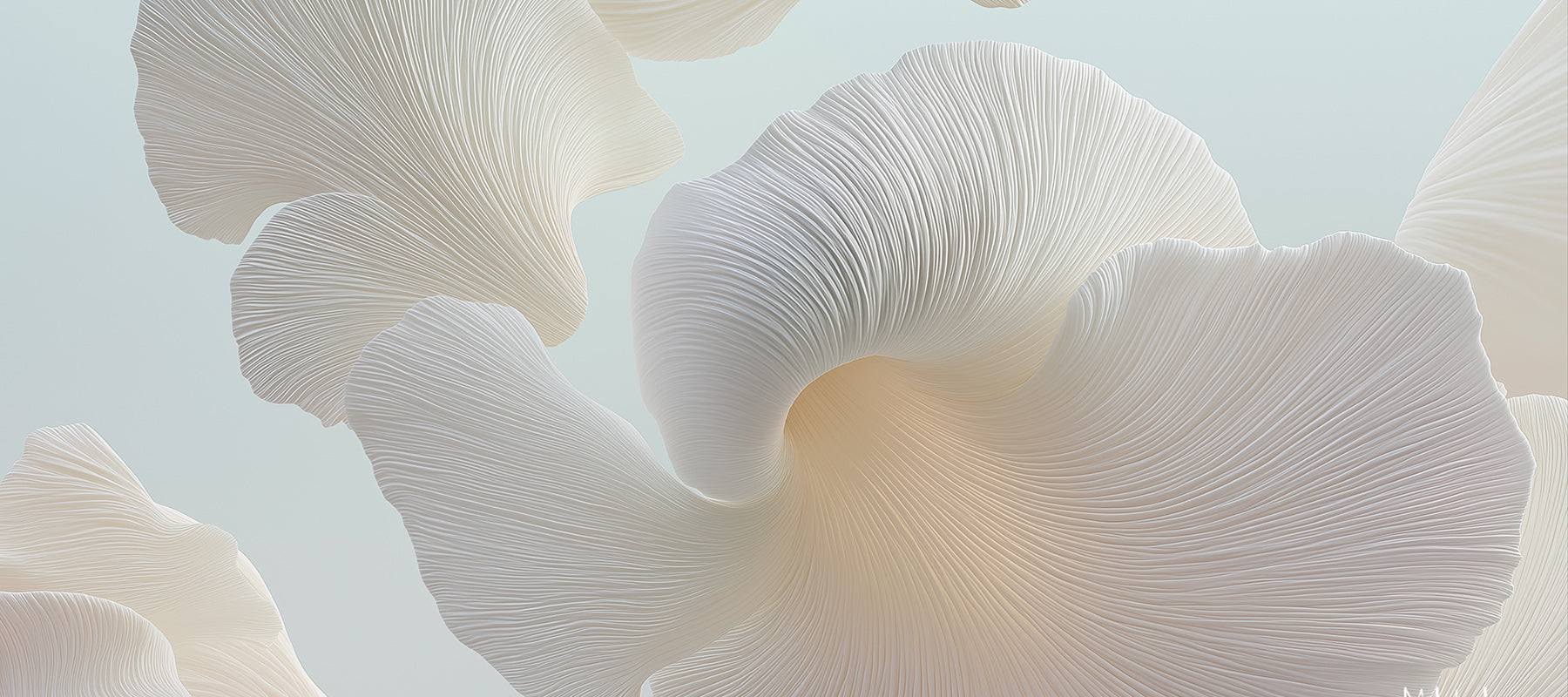 Flowers on the Beach