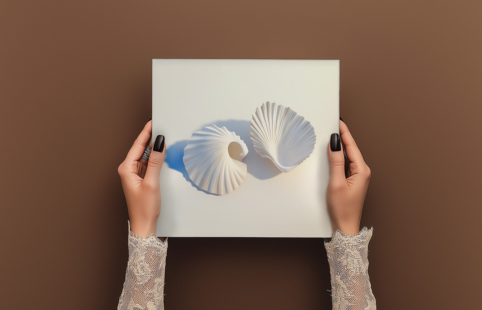WHITE SEASHELLS